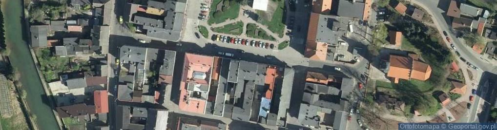 Zdjęcie satelitarne Dalecka Halina
