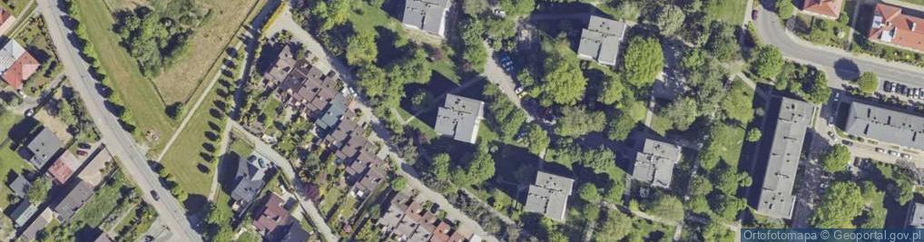 Zdjęcie satelitarne Damian Kamiński Sventevit Usługi Pilota Wycieczek i Przewodnika Turystycznego