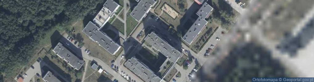 Zdjęcie satelitarne Danceart