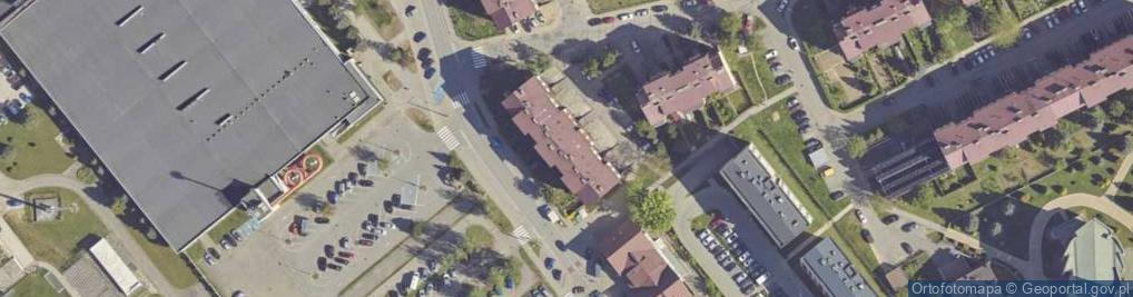 Zdjęcie satelitarne Daniel Nurkowicz - Działalność Gospodarcza