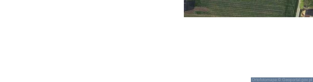 Zdjęcie satelitarne Daniel Stelmach