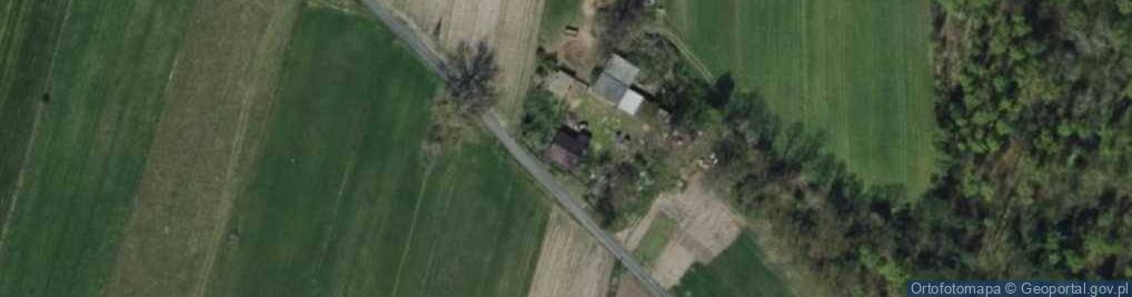 Zdjęcie satelitarne Daniel Witaszczyk - Działalność Gospodarcza