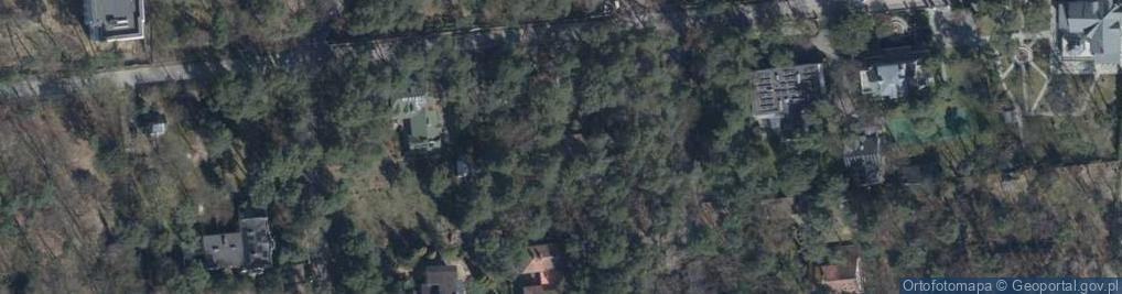 Zdjęcie satelitarne Daniszewska i Córka Daniszewska Małgorzata Miecińska Marta