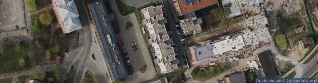Zdjęcie satelitarne DANTISCUM. Pracownia Badań Archeologicznych