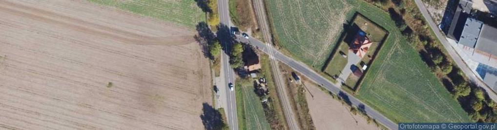 Zdjęcie satelitarne Danuta Cieszyńska - Działalność Gospodarcza
