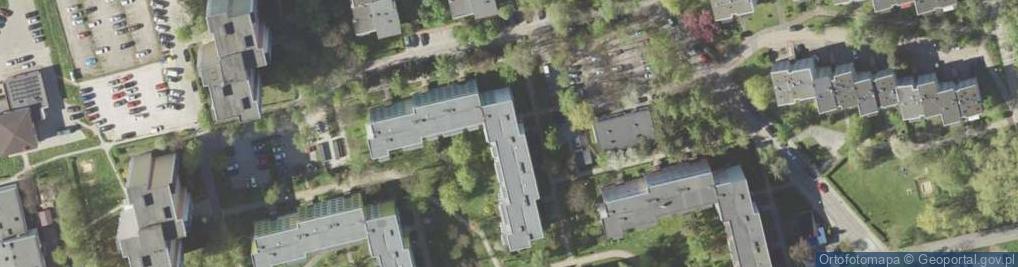 Zdjęcie satelitarne Danuta Rawska - Działalność Gospodarcza