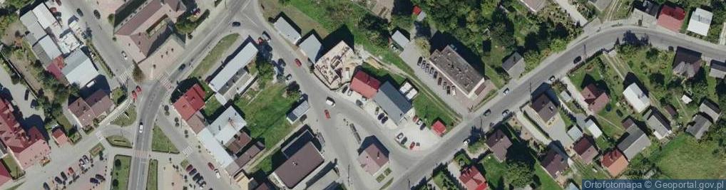Zdjęcie satelitarne Danuta Ryś - Działalność Gospodarcza
