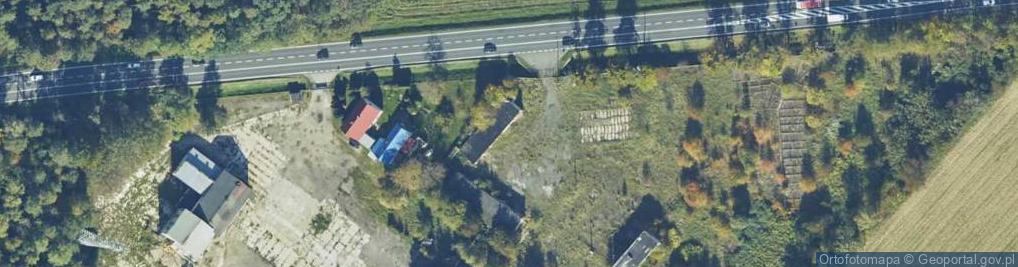 Zdjęcie satelitarne Danuta Świerk - Działalność Gospodarcza