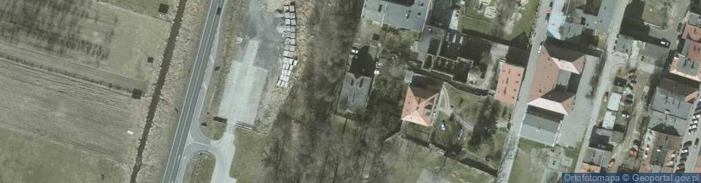 Zdjęcie satelitarne Danuta Wyskwarska "Video Styl"