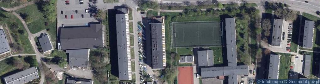 Zdjęcie satelitarne Dariusz Rudny - Działalność Gospodarcza