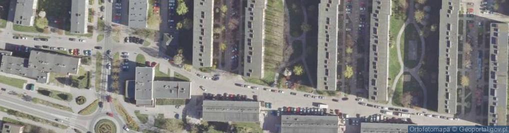 Zdjęcie satelitarne Dariusz Wasyl - Działalność Gospodarcza