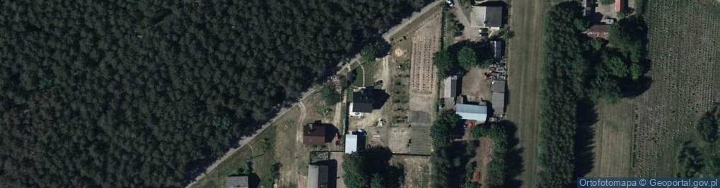 Zdjęcie satelitarne Daw - Trans Strzyżewski Konrad
