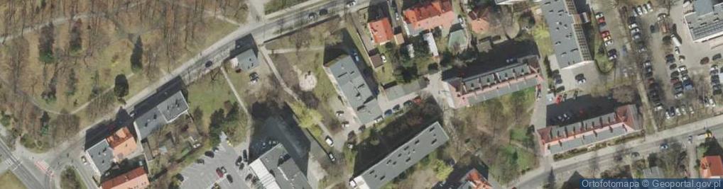 Zdjęcie satelitarne Dawid Wieczorkiewicz - Działalność Gospodarcza