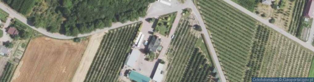 Zdjęcie satelitarne DAWIDEX