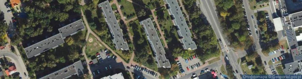 Zdjęcie satelitarne Dawid