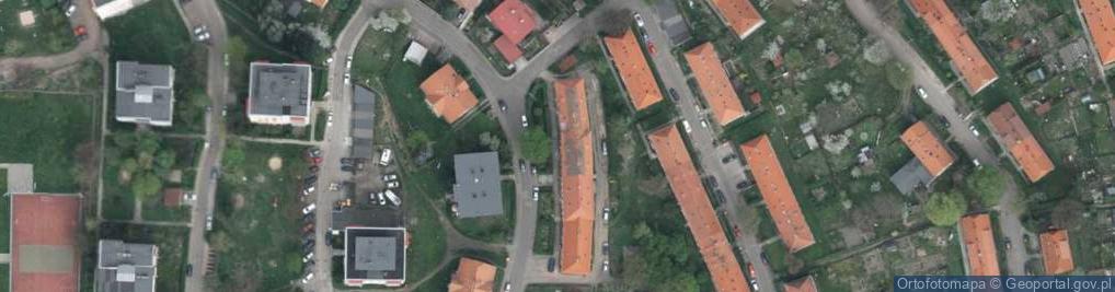 Zdjęcie satelitarne Delfin