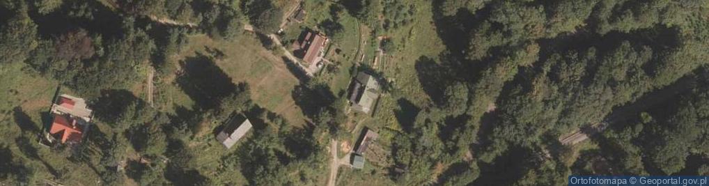 Zdjęcie satelitarne Dendro Project Rafał Jaworowski