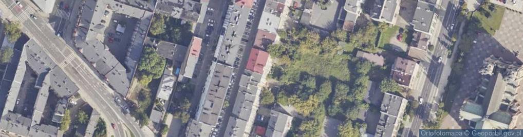 Zdjęcie satelitarne Diana Czarnecka Henryka