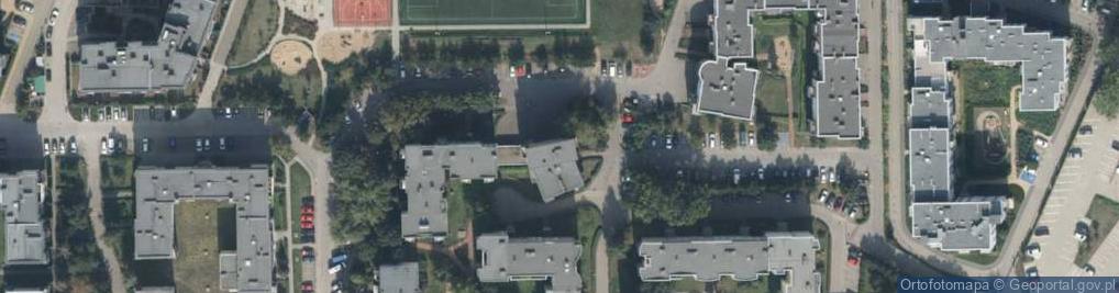 Zdjęcie satelitarne Dianthus