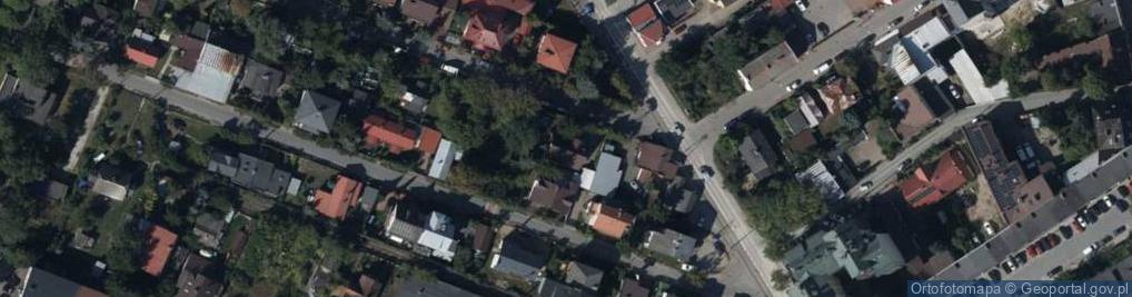 Zdjęcie satelitarne DINO