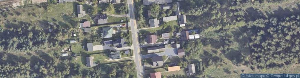Zdjęcie satelitarne Dla Psów pod Lasem Paweł Boruń