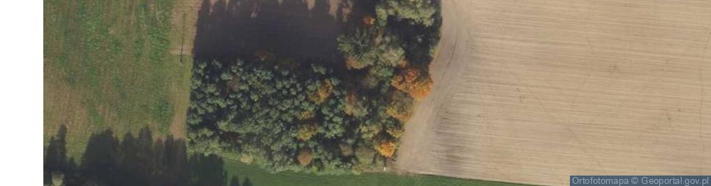 Zdjęcie satelitarne Dom Pomocy Społecznej w Chlebnie