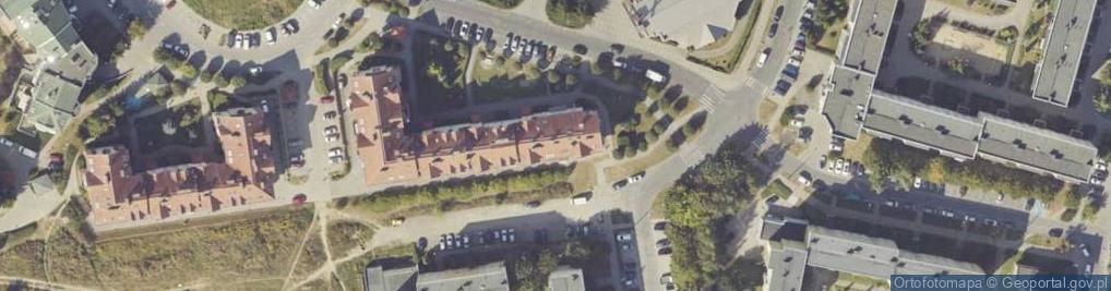 Zdjęcie satelitarne Domena