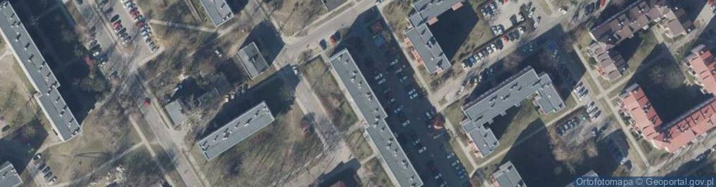 Zdjęcie satelitarne Domestic Art