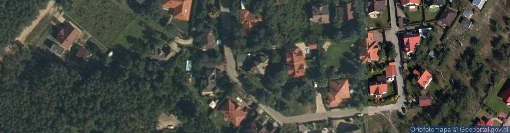 Zdjęcie satelitarne Dominik Zalewski - Działalność Gospodarcza
