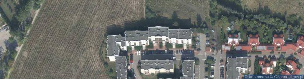 Zdjęcie satelitarne "Domino" Dominik Rosada