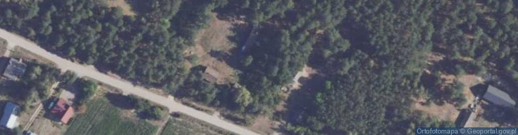 Zdjęcie satelitarne Domitrans Adrian Ropiak