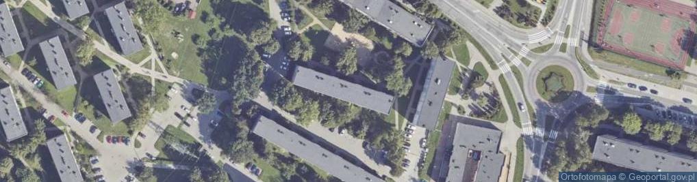 Zdjęcie satelitarne DORA