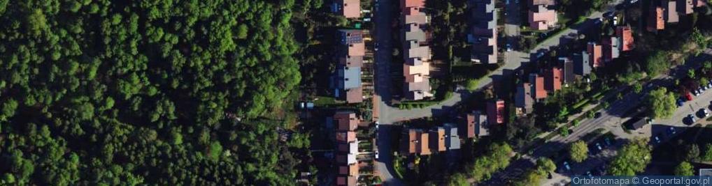 Zdjęcie satelitarne Dorota Foksowicz Inter Fox