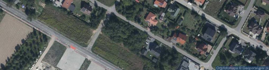 Zdjęcie satelitarne Dorota Myszkowska