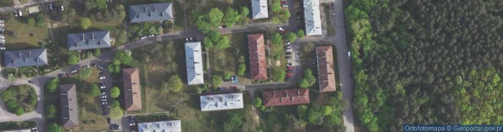 Zdjęcie satelitarne Dorota Pogoda - Działalność Gospodarcza
