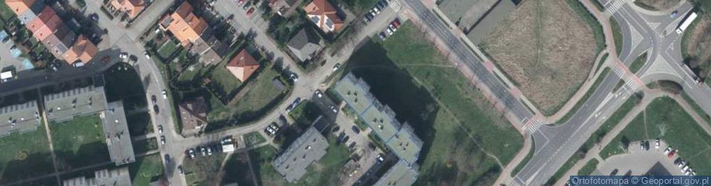 Zdjęcie satelitarne Dozorca