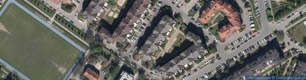 Zdjęcie satelitarne Dragon Ewelina Kiełkowska Czyż