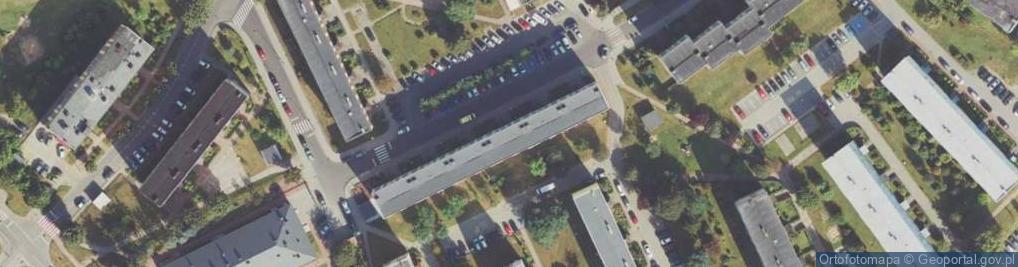 Zdjęcie satelitarne Drelich Joanna Agnieszka