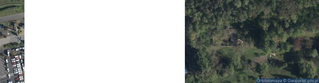 Zdjęcie satelitarne Drewnoplaneta