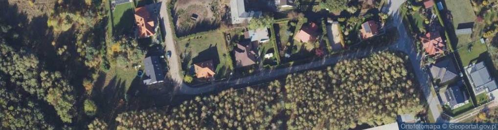Zdjęcie satelitarne Drewutnia