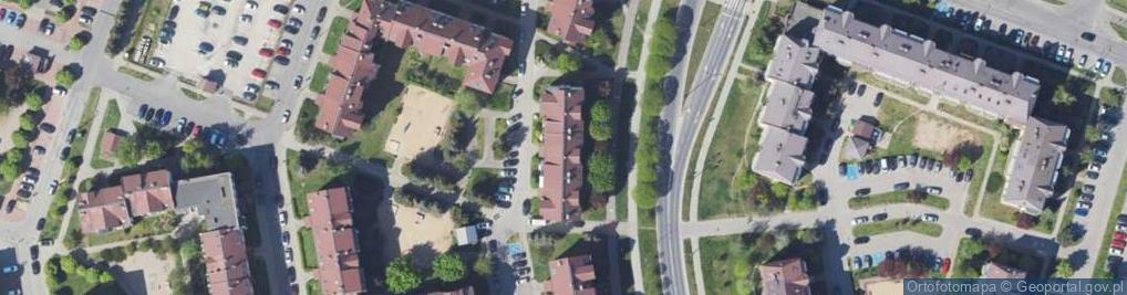 Zdjęcie satelitarne Dużyńska Ewa, Ejnar