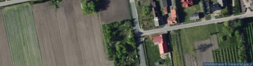 Zdjęcie satelitarne DW Trans