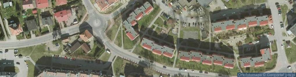 Zdjęcie satelitarne Dyk z., Trzebnica