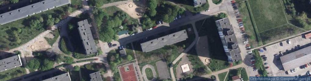Zdjęcie satelitarne Dyslektyczne Ucho Patryk Pędzierski