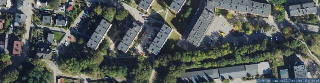 Zdjęcie satelitarne Dystrybucja Organizowanie Sieci Dystrybucyjnej