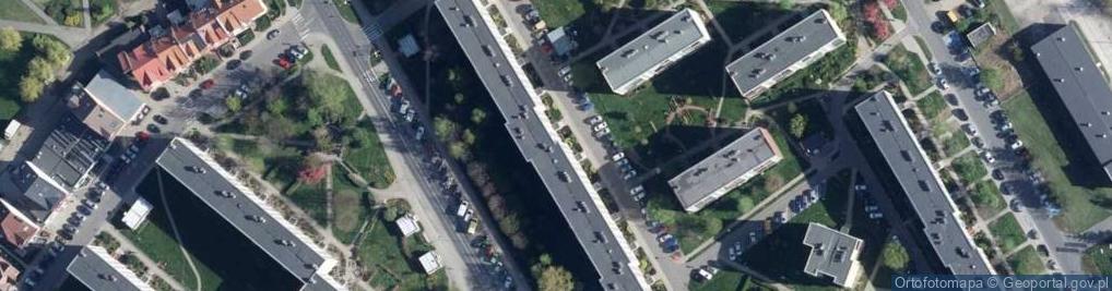 Zdjęcie satelitarne Dystrybucja Towarów Konsumpcyjnych