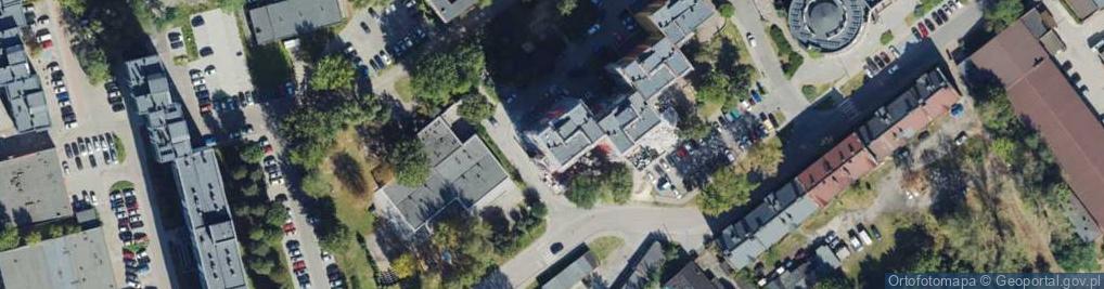 Zdjęcie satelitarne Dystrybucja Towarów Organizowanie Sieci Dystrybucyjnej