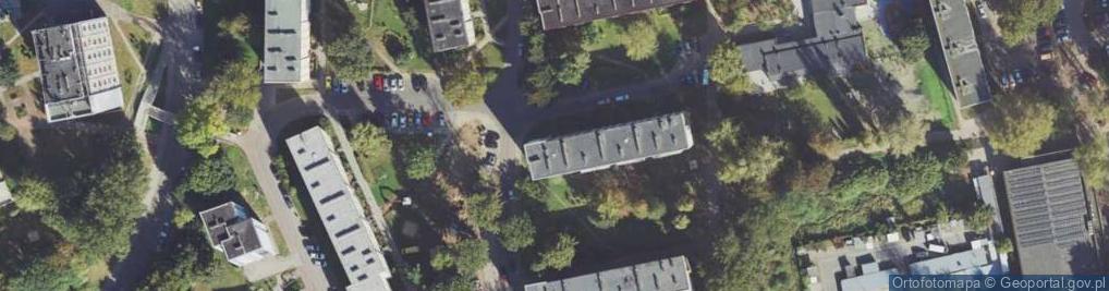 Zdjęcie satelitarne Działalność Handlowa