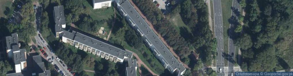 Zdjęcie satelitarne Dzidzia