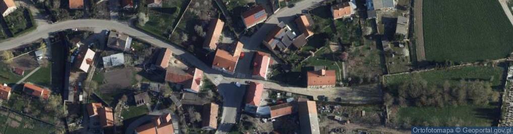 Zdjęcie satelitarne Dziedzic Janczewska